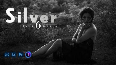 SIlver-6-black-and-white-presets-for-LR-and-C1