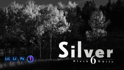 silver-black-and-white-for-lightroom-and-capture-one