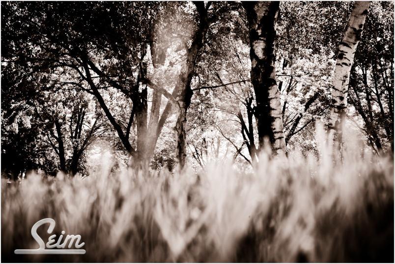 infrared-vintage-park