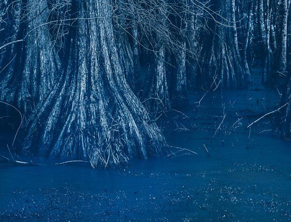 Cyanotype effect photoshop Emulsion 3