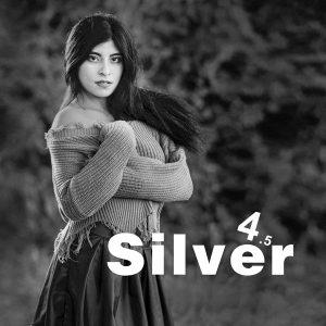 silver4-poster