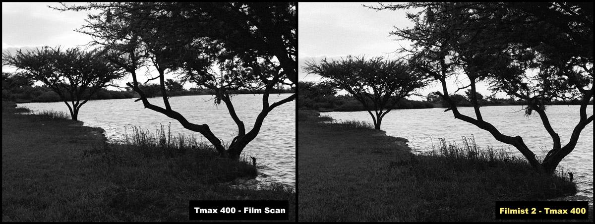 tmax-400-film-prest-for-lightroom-and-capture-one-2